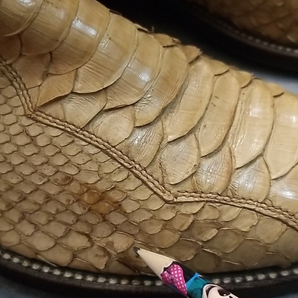 DAN POST PYTHON - Picture 2 of 8